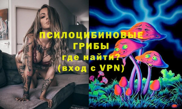 бошки Беломорск