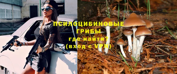 2c-b Балахна
