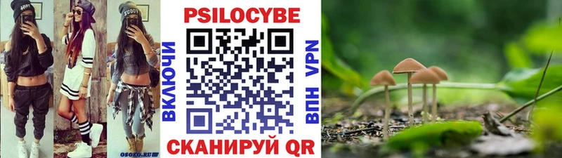 Псилоцибиновые грибы Psilocybine cubensis  Купить где  Сретенск 