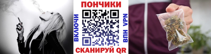 Купить закладки  Сретенск  Канабис SATIVA & INDICA 